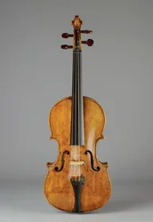 Violin